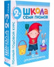 Полный курс занятий с детьми 2-3 года в подарочной упаковке Школа семи гномов